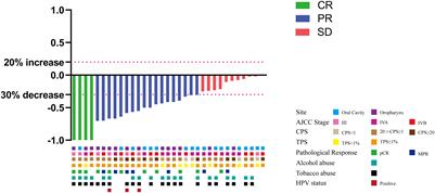 Neoadjuvant tislelizumab combined with chemotherapy in locally advanced oral or oropharyngeal squamous cell carcinoma: a real−world retrospective study